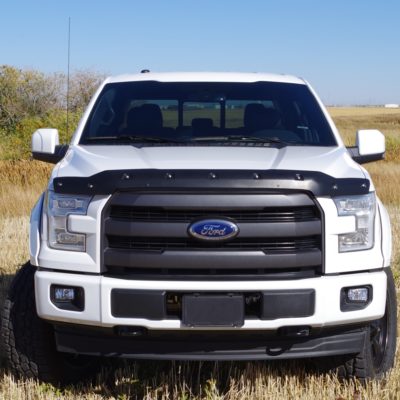 Foto Ford F-150 blanca